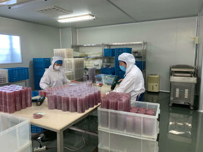 送政策、送口罩、幫復工 政府幫助虹口這家企業3天研制出病毒采樣管