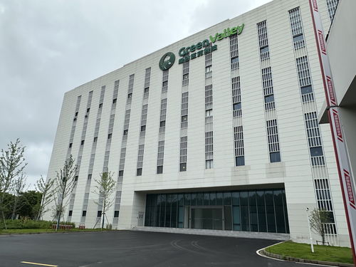 探訪 這款國產 老年癡呆 知名藥停產 投資12億元的新廠也空置了