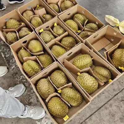 預包裝食品 4房肉以上榴蓮的供應、價格與批發(fā)指南