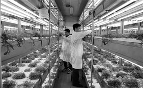 信息技術與生物技術雙輪驅動，開啟現代農業發展新篇章