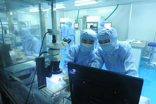 美迪西 分子生物學與生物技術開發服務，驅動創新藥物研發